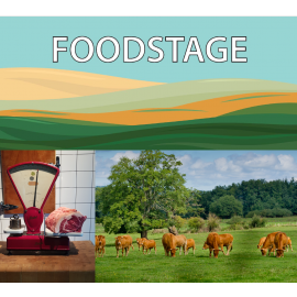 New Logo FOODSTAGE 